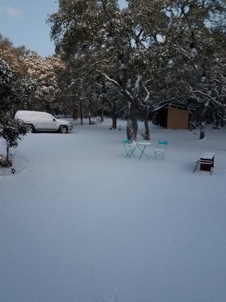 Snow in front yard on morning of February 15th.