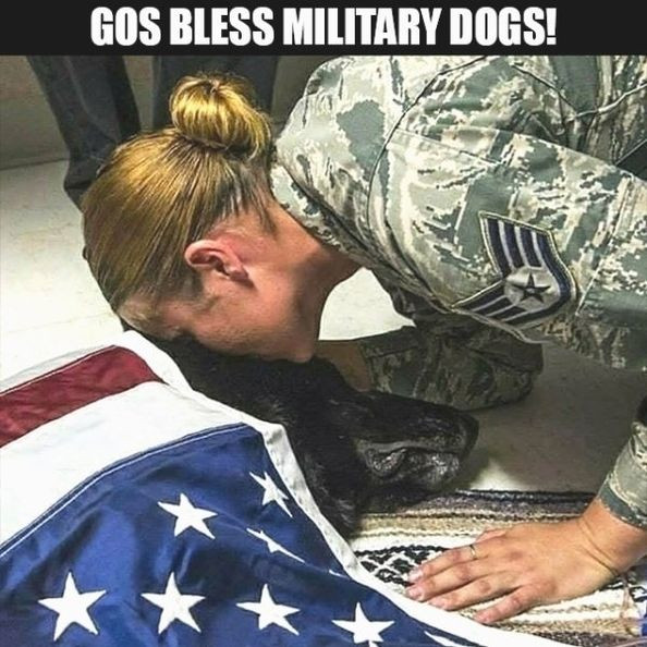God Bless Military Dogs!

An Air Force Tech Sgt. kissing the head of a decease military dog.